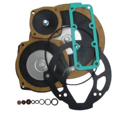 Reparo Senior I & II Genérico 